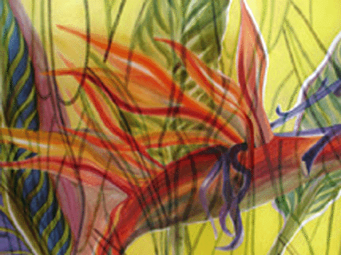Bird of Paradise